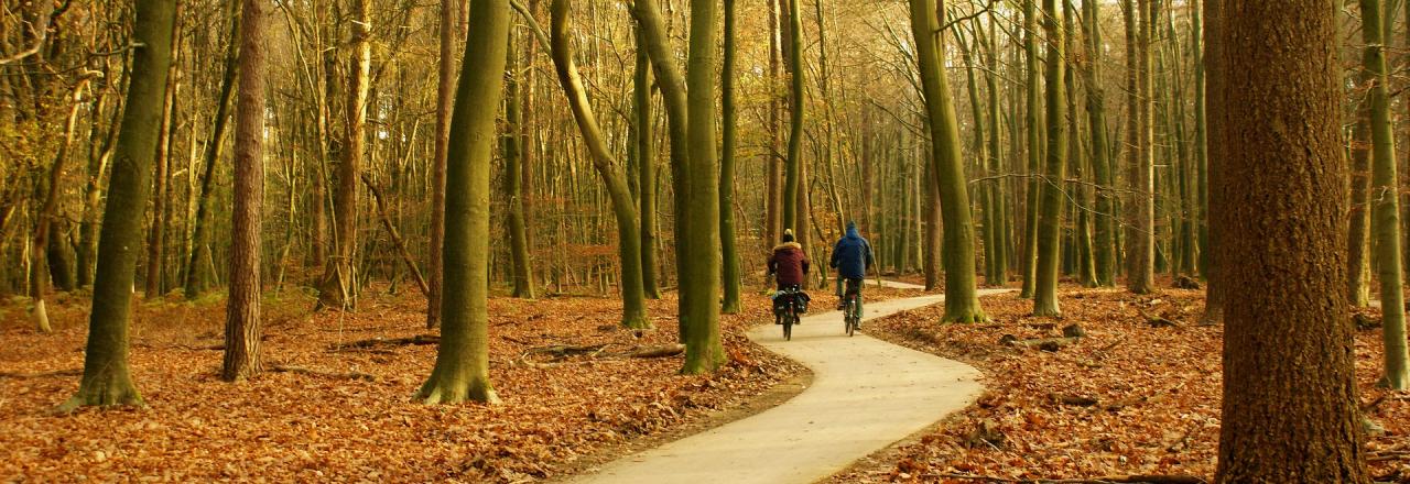 Radwege in Niederösterreich boomen heuer wie nie zuvor