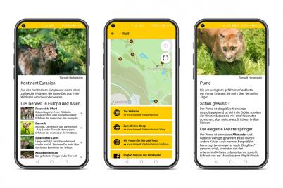 Digitalisierung im Vormarsch: Löwenstarke Quiz App